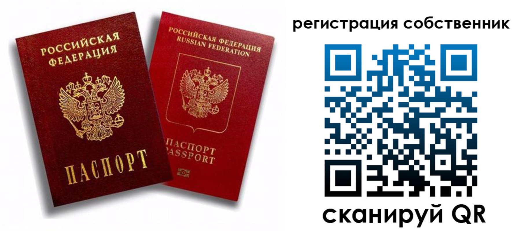 прописка штамп в Шилке